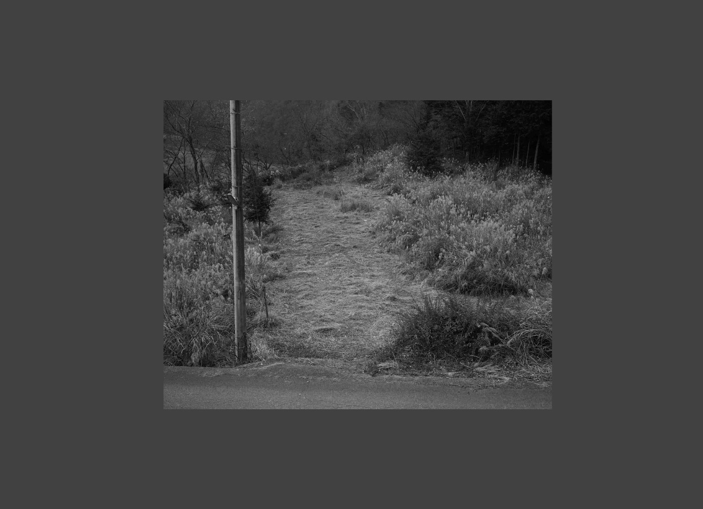 2013年合同展参加作品